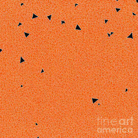 Terrazzo patterns by Terrazzo patterns