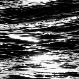 Delray Beach Florida Atlantic Ocean 4177 by Neptune Images
