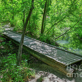 Creek Walkway  by DLGoldstein Photography