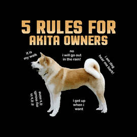 5 Rules For Akita Owners by Tinh Tran Le Thanh
