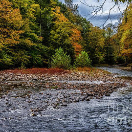 Williams River Autumn Rain by Thomas R Fletcher