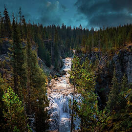 Yellowstone National Park by Brian Venghous