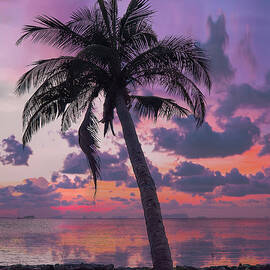 Sunset by Oleg Ver