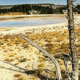Yellowstone Hot Pool by Ben Graham
