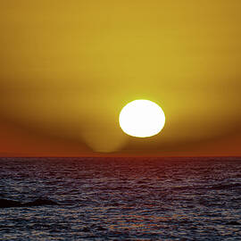 A bird and sunset on Harris Beach by Jeff Swan