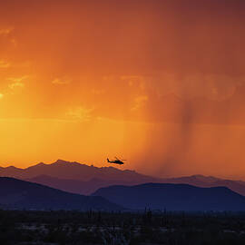 A Blackhawk At Sunset by Cathy Franklin