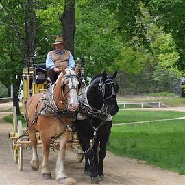 A Charming Carriage Ride by Linda Howes