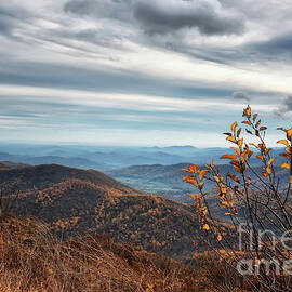 A Cloudy Autumn Day At Skyline Drive by Lois Bryan