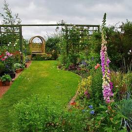 A Cottage Garden In Somerset by Lesley Evered