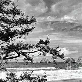 A Day At The Beach - Black And White by Beautiful Oregon