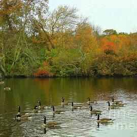 A Day in Autumn at Belmont Lake by Dora Sofia Caputo