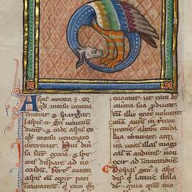 A Dragon-like Snake by Franco-Flemish 13th Century Manuscript