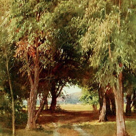 A Eucalyptus Grove, California 1914 by Sutton Palmer
