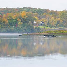 A Foggy Fall Morning by Lynn Bauer