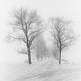 A gray day by Veikko Suikkanen
