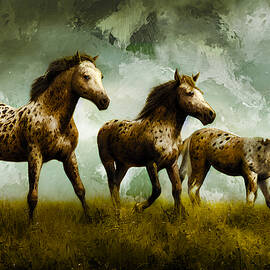 A group of appaloosa horses on pasture - digital painting by Nicko Prints