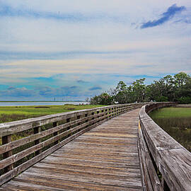 A Jekyll Island Curve by Ed Williams