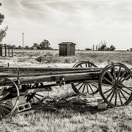 A Little Help From My Friends - Black and White by Gene Parks