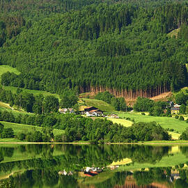 A lush green forest reflected in the water of Norway by Carolina Reina