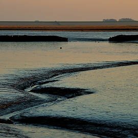 A meandering channel in the mudflat of the Wadden Sea by Juergen Hess