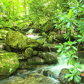 A No Nave Waterfall near Glenville North Carolina by Bob Decker