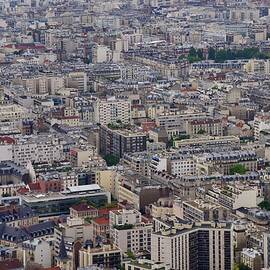 A Paris Cityscape 