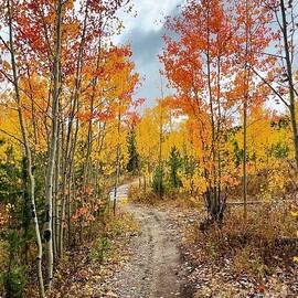 A Path Through Fall by Saving Memories By Making Memories
