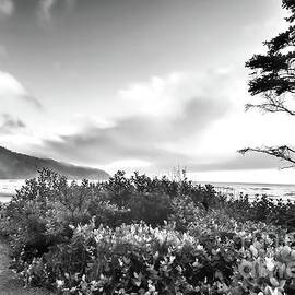 A Picnic At The Beach - Black And White by Beautiful Oregon