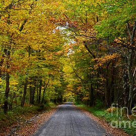 A Road Less Traveled by Janet Davaros