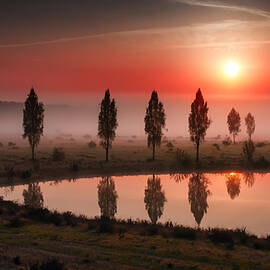 A serene landscape features a row of trees reflected in a still pond by Manjik Pictures