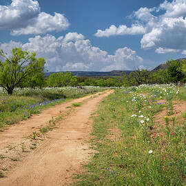 A Texas Hill Country Afternoon  by Harriet Feagin Photography