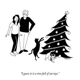 A Tree Full Of Cat Toys by Maggie Larson