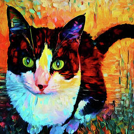 A Tuxedo Cat Named Jaylah by Peggy Collins