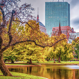 A Walk In The Park - Boston Public Garden by Gregory Ballos