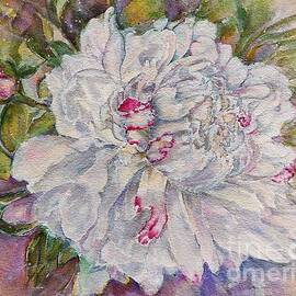 A White Peony in Bloom by Amalia Suruceanu