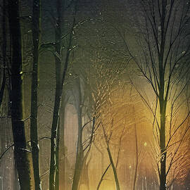 A Winter Night Tale by David Dehner