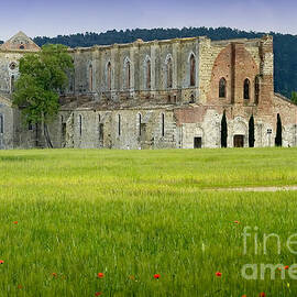 Abbey of Saint Galgano - View from the Plain - Italy by Paolo Signorini