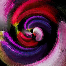 Abbey Swirl A Twirl by Gayle Price Thomas