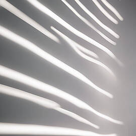 Abstract Light Patterns on Wall by Jeff Creation