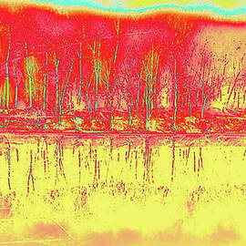 Abstract Riverbank by Femina Photo Art By Maggie
