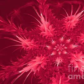 abstract viva magenta pantone 18 1750 color of the year 2023 starfish sea creature wallpaper background monochrome dynamic crimson carmine red science technology backdrop banner fractal 3d rendering by N Akkash