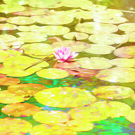 Abstract Waterlilies 6 by Mary Mansey