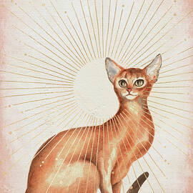 Abyssinian Cat by Garden Of Delights