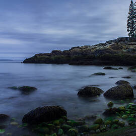 Acadia Let it Rain by Michelle Palermo