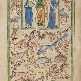 Adam Naming the Animals by English 13th Century Manuscript