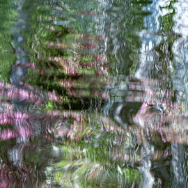 Adrift on Polliwog Pond by Linda MacFarland