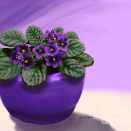 African Violet Beauty