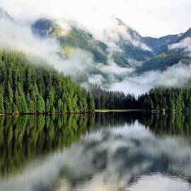 Alaska Reflection by Vicky Sweeney