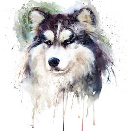 Alaskan Malamute Watercolor Portrait  by Marian Voicu