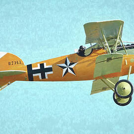 Albatros D V In Yellow Painting